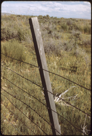 Illustration for article titled Barbed Wire
